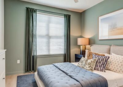 Custom home features in luxury northeast San Antonio townhome community