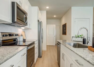 Modern kitchen in luxury northeast San Antonio townhome community