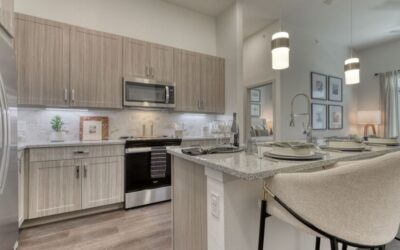 SA1319 – Premier Urban Living in Stone Oak