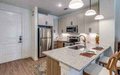 Property ID: SA1352 – Are you looking for a luxury New Braunfels residence with 3 months free and a private fenced yard?